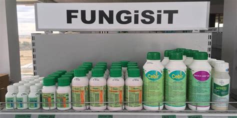 fungisit mantar ilaçları